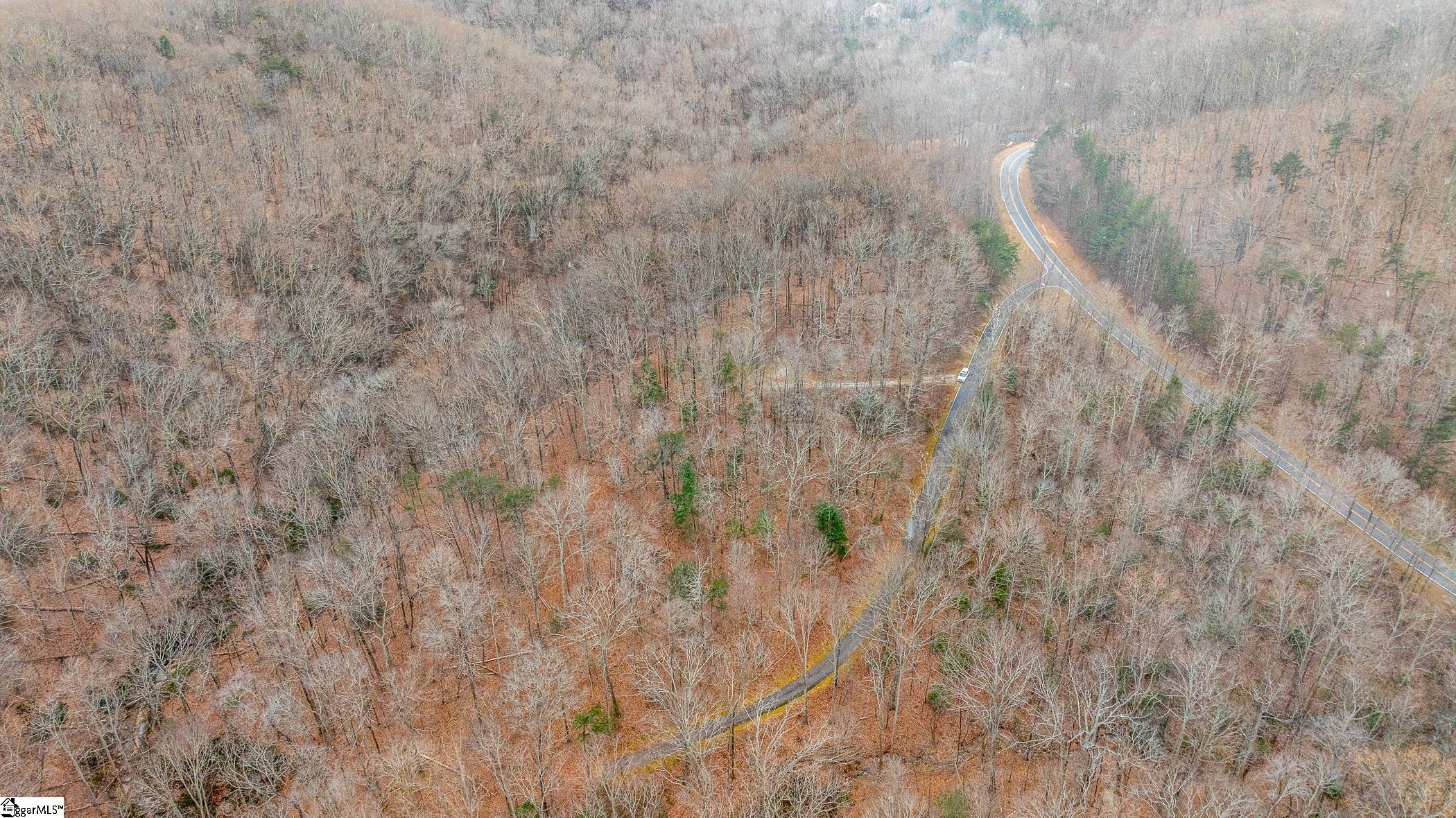 8 Granite Falls Drive Landrum, SC 29356 - Photo 6 of 11