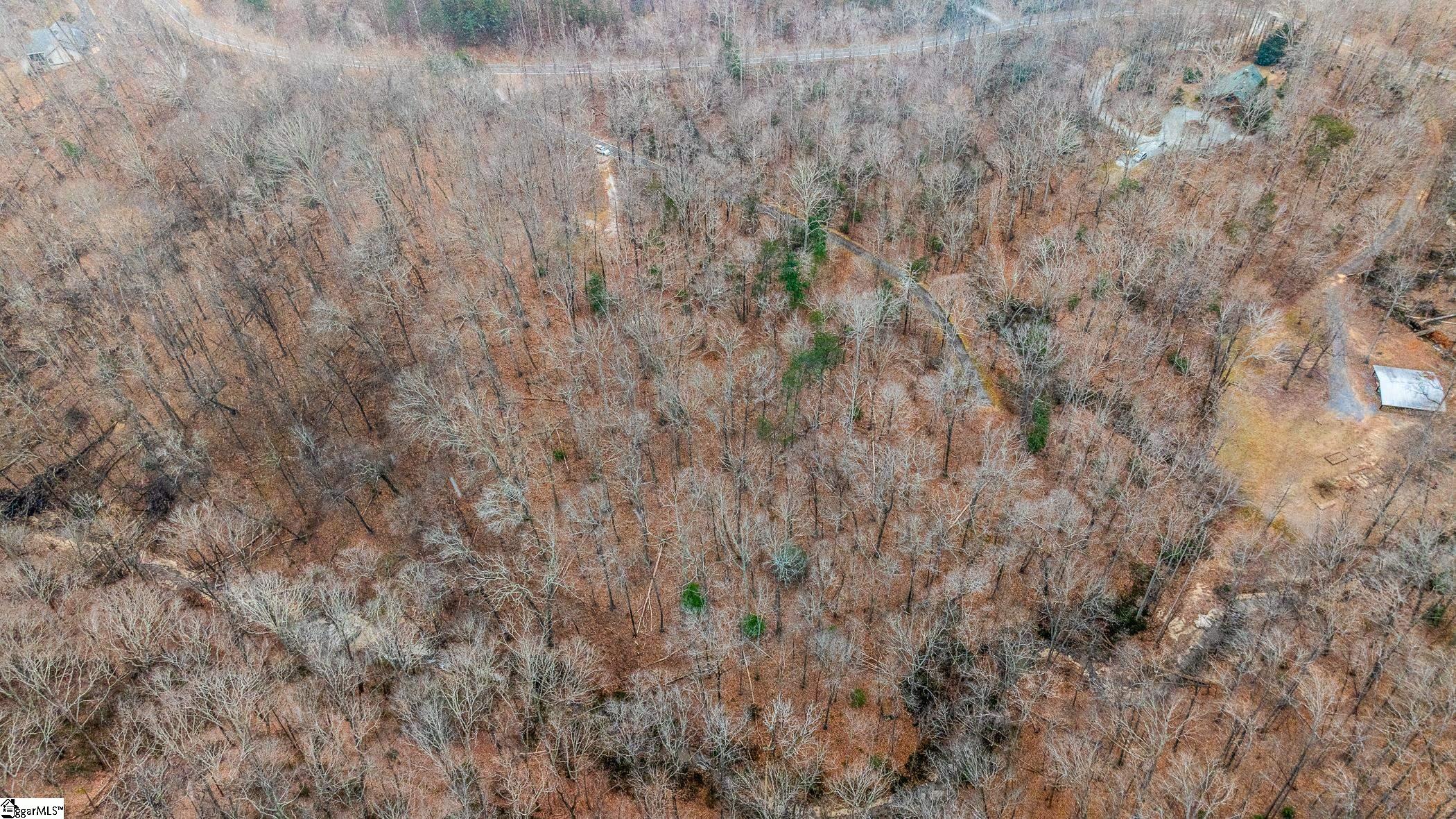 8 Granite Falls Drive Landrum, SC 29356 - Photo 9 of 11