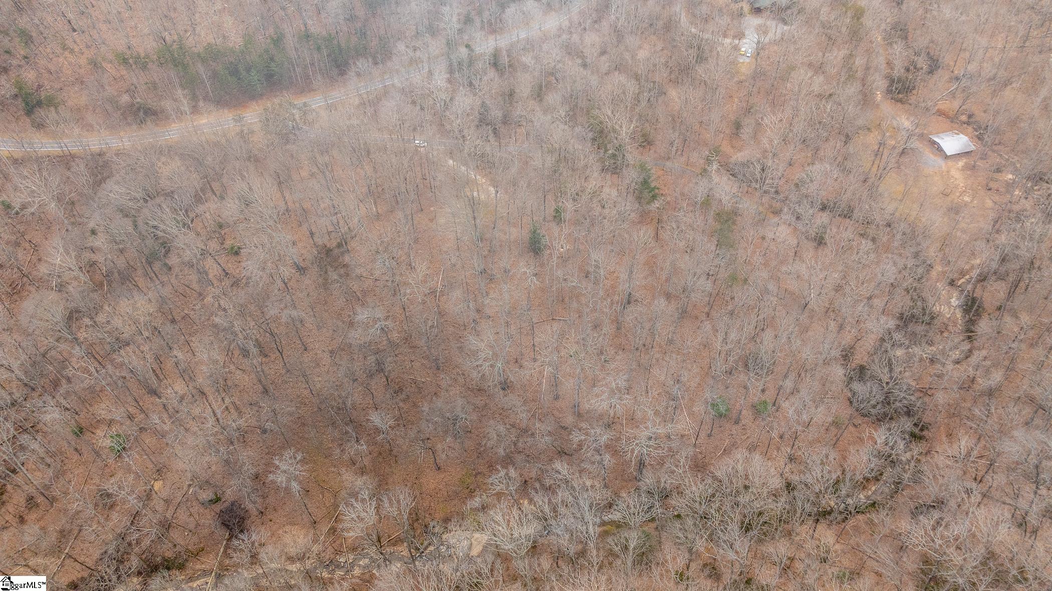 8 Granite Falls Drive Landrum, SC 29356 - Photo 10 of 11