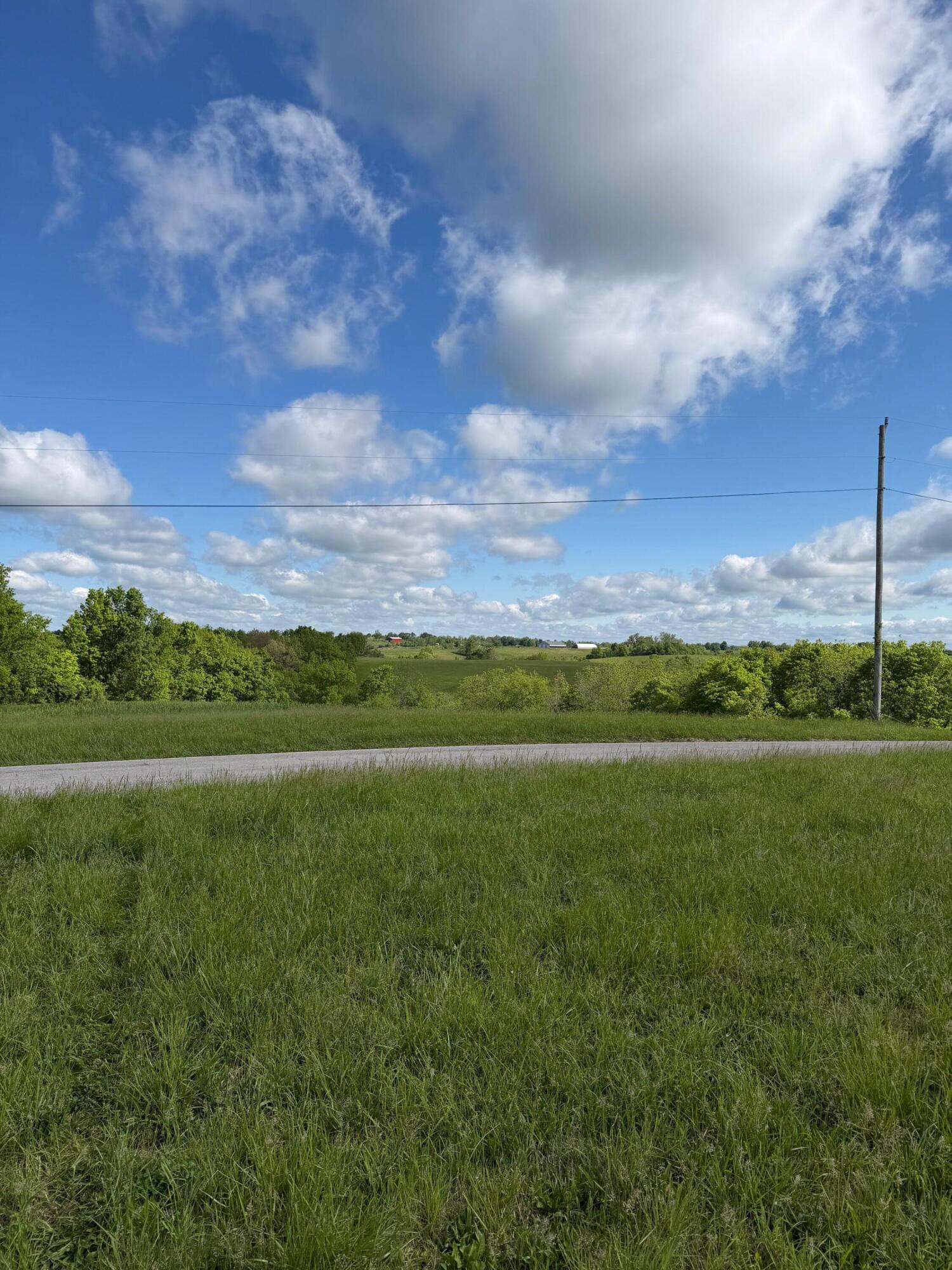 14.17-ac Chipman Ridge Road Williamstown, KY 41097 - Photo 14 of 18