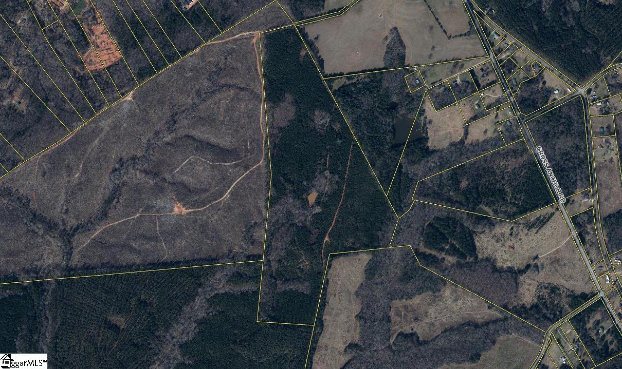 0 Paso Fino Road Enoree, SC 29335 - Photo 2 of 7