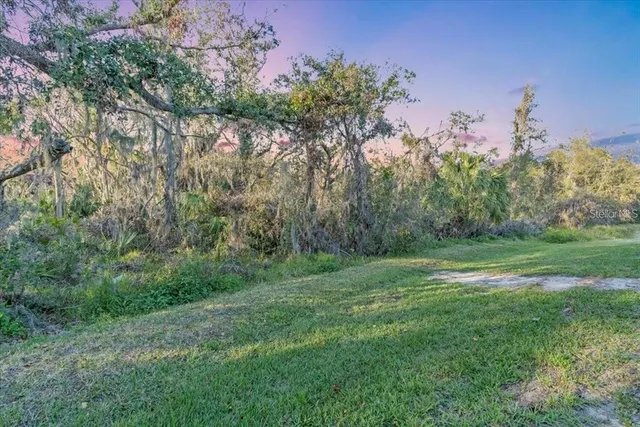a view of field with trees in the background