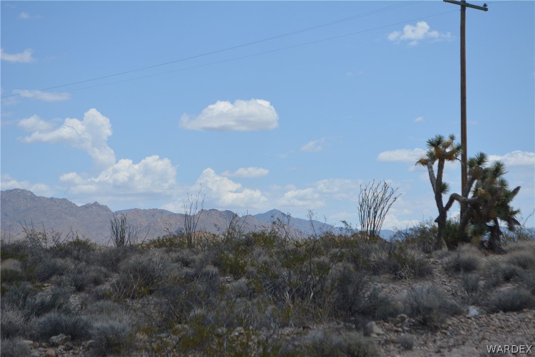 208-24-134 Cameron Road Yucca, AZ 86438 - Photo 29 of 86