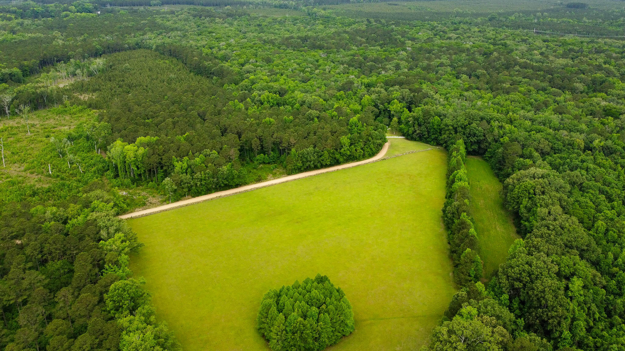 1034 Tuten Road Jacksonboro, SC 29452 - Photo 58 of 77 Hayne HallSC Land for Sale-63