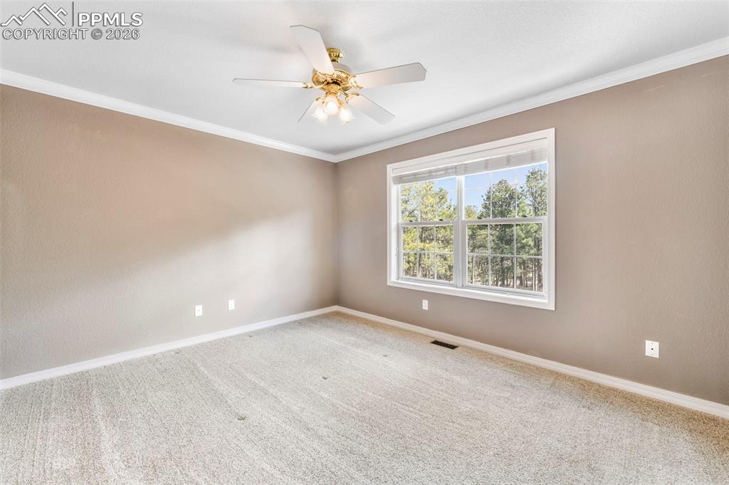 17725 Martingale Road Monument, CO 80132 - Photo 28 of 50 an empty room with a window and a fan