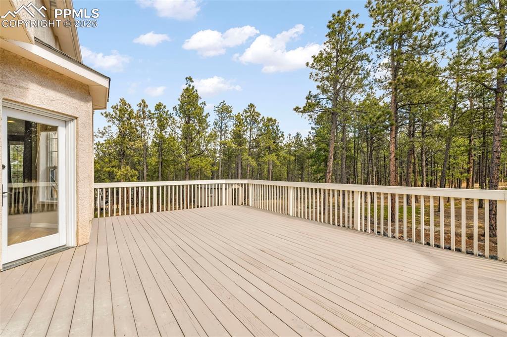 17725 Martingale Road Monument, CO 80132 - Photo 37 of 50 a view of a deck with a large trees