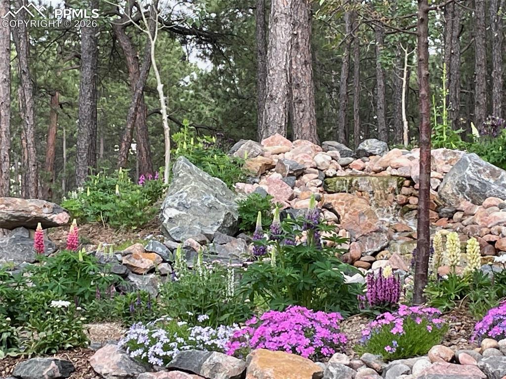 17725 Martingale Road Monument, CO 80132 - Photo 39 of 50 a view of a garden with flowers and flowers