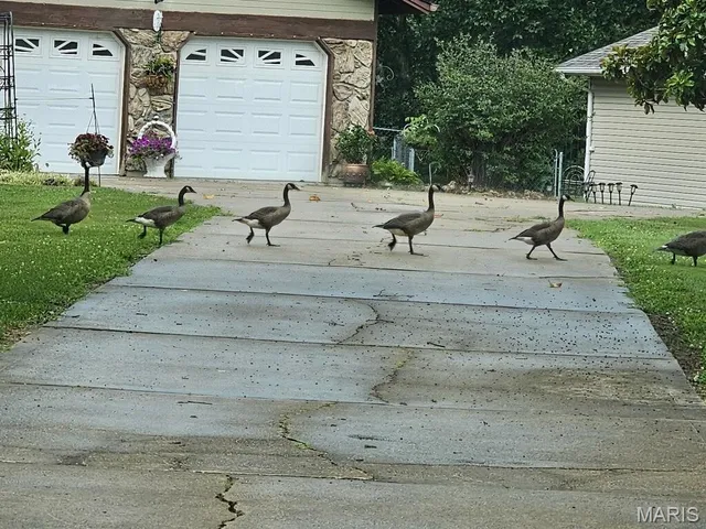 $599,000 | 213 Lincoln Lane, Winfield, MO 63389