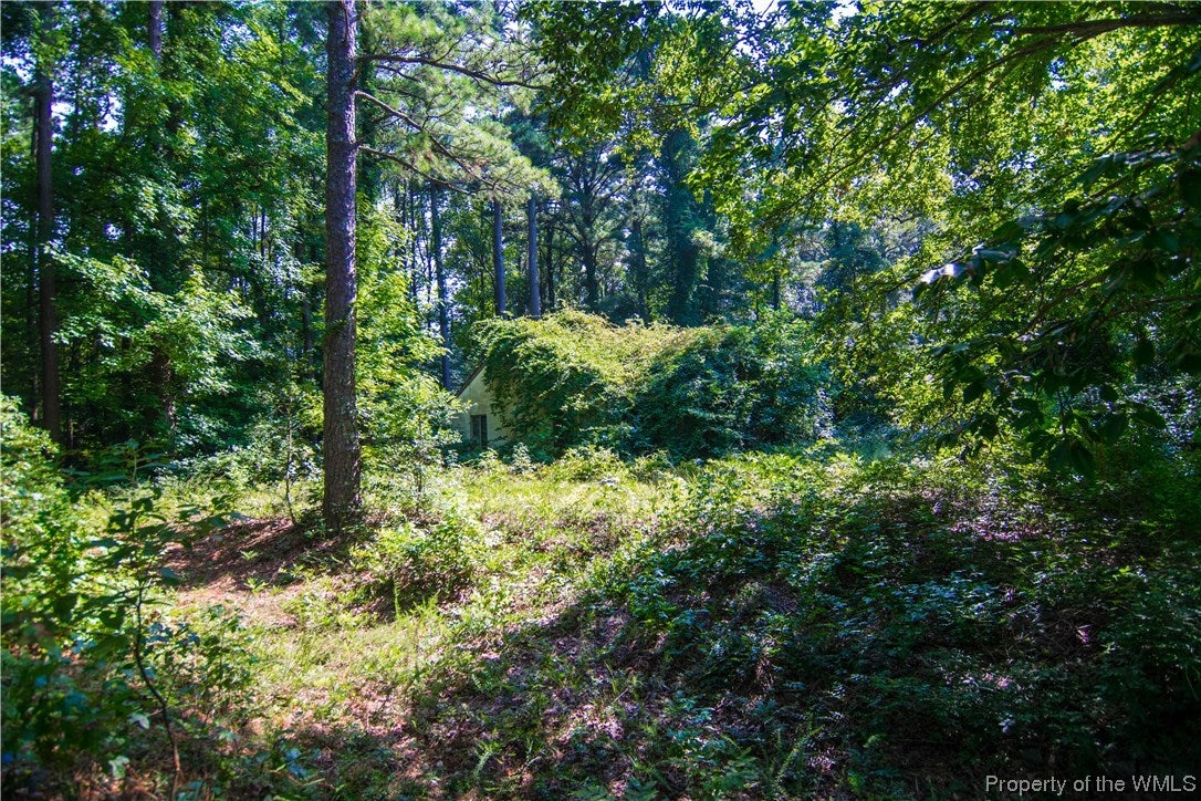 4301 Mill Trail Road Henrico, VA 23231 - Photo 2 of 16 Gallery Image 2