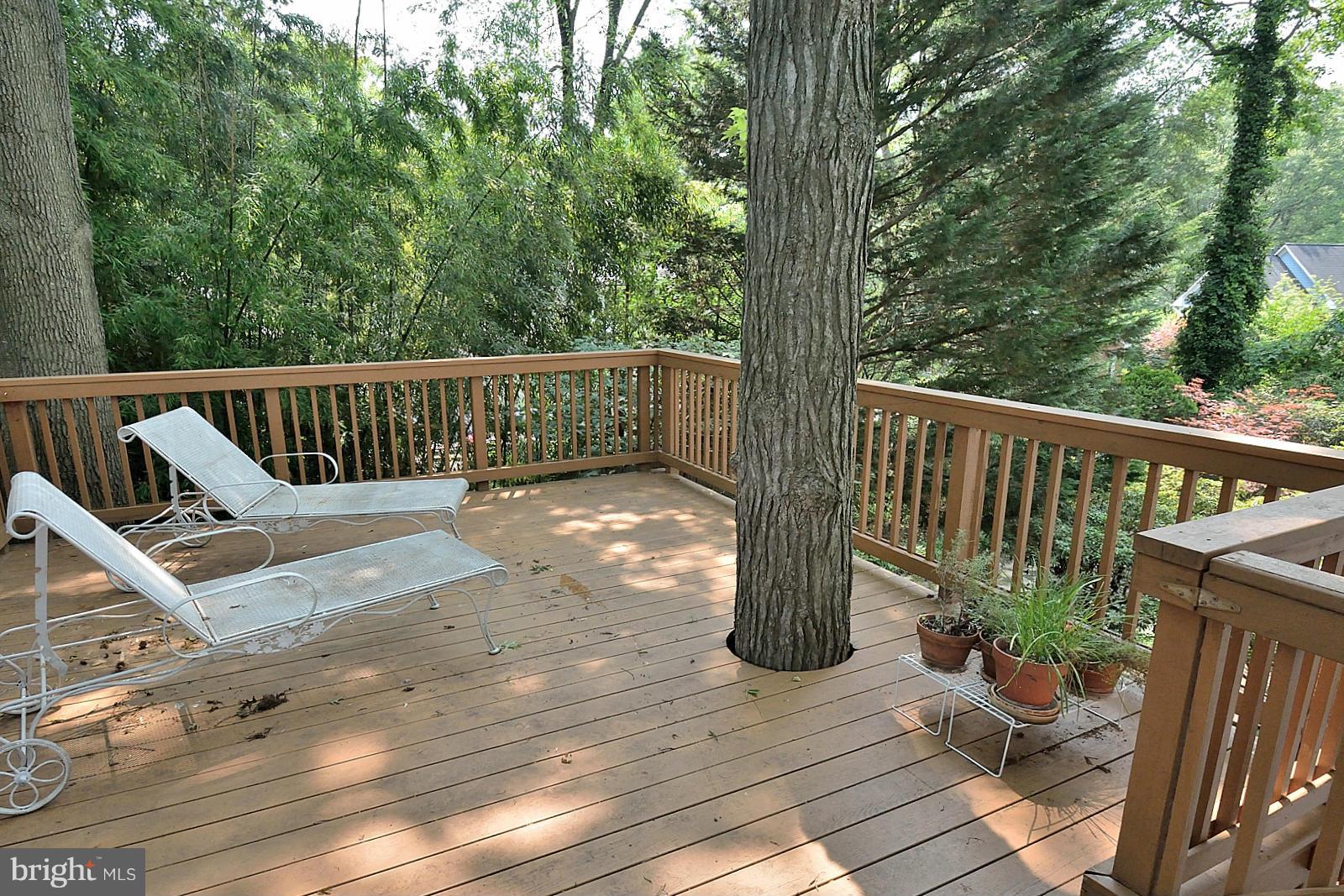 8020 Washington Road Alexandria, VA 22308 - Photo 19 of 20 Exterior (Rear)