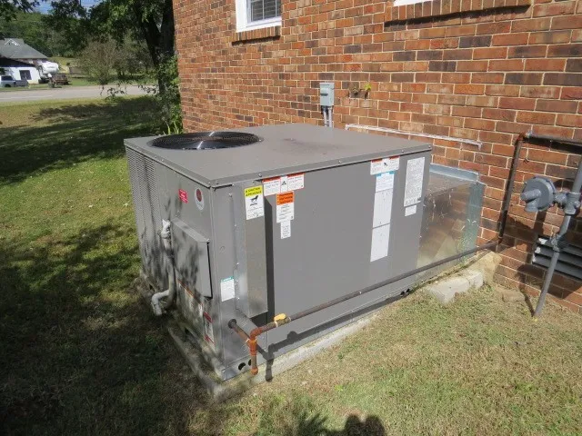 a view of a backyard with plants
