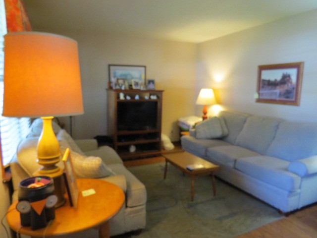1549 Mill Street Pulaski, TN 38478 - Photo 5 of 24 a living room with furniture and a lamp