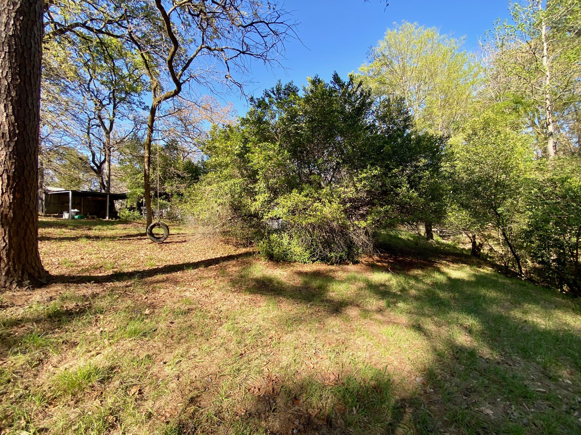361 Beaver Run Grapeland, TX 75844 - Photo 2 of 12 a view of outdoor space with street view