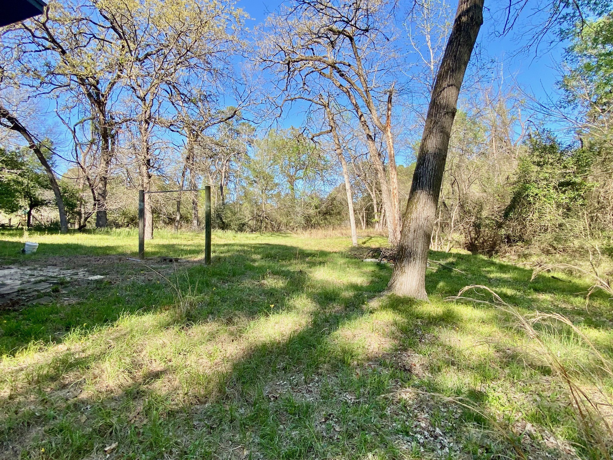 361 Beaver Run Grapeland, TX 75844 - Photo 4 of 12