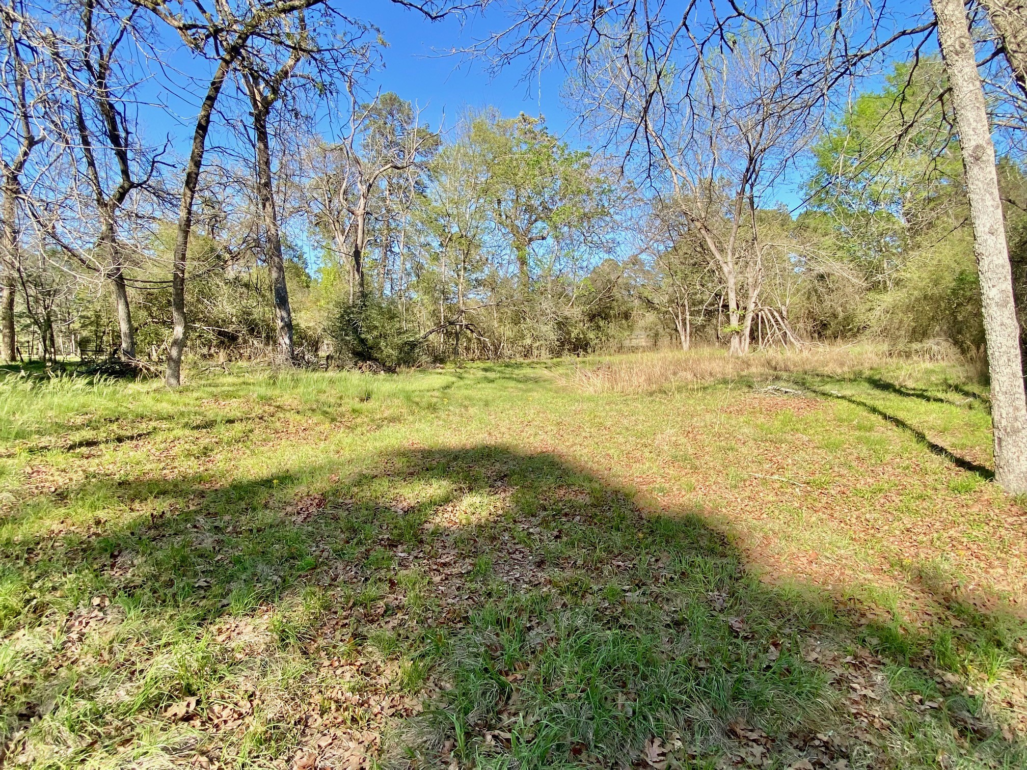361 Beaver Run Grapeland, TX 75844 - Photo 5 of 12 a view of beach and yard