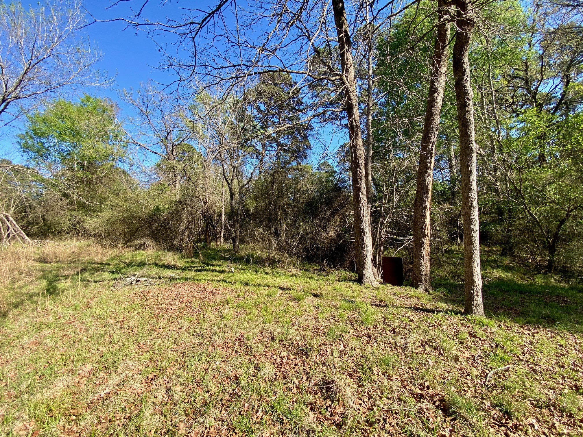 361 Beaver Run Grapeland, TX 75844 - Photo 6 of 12 a view of a yard with an outdoor space