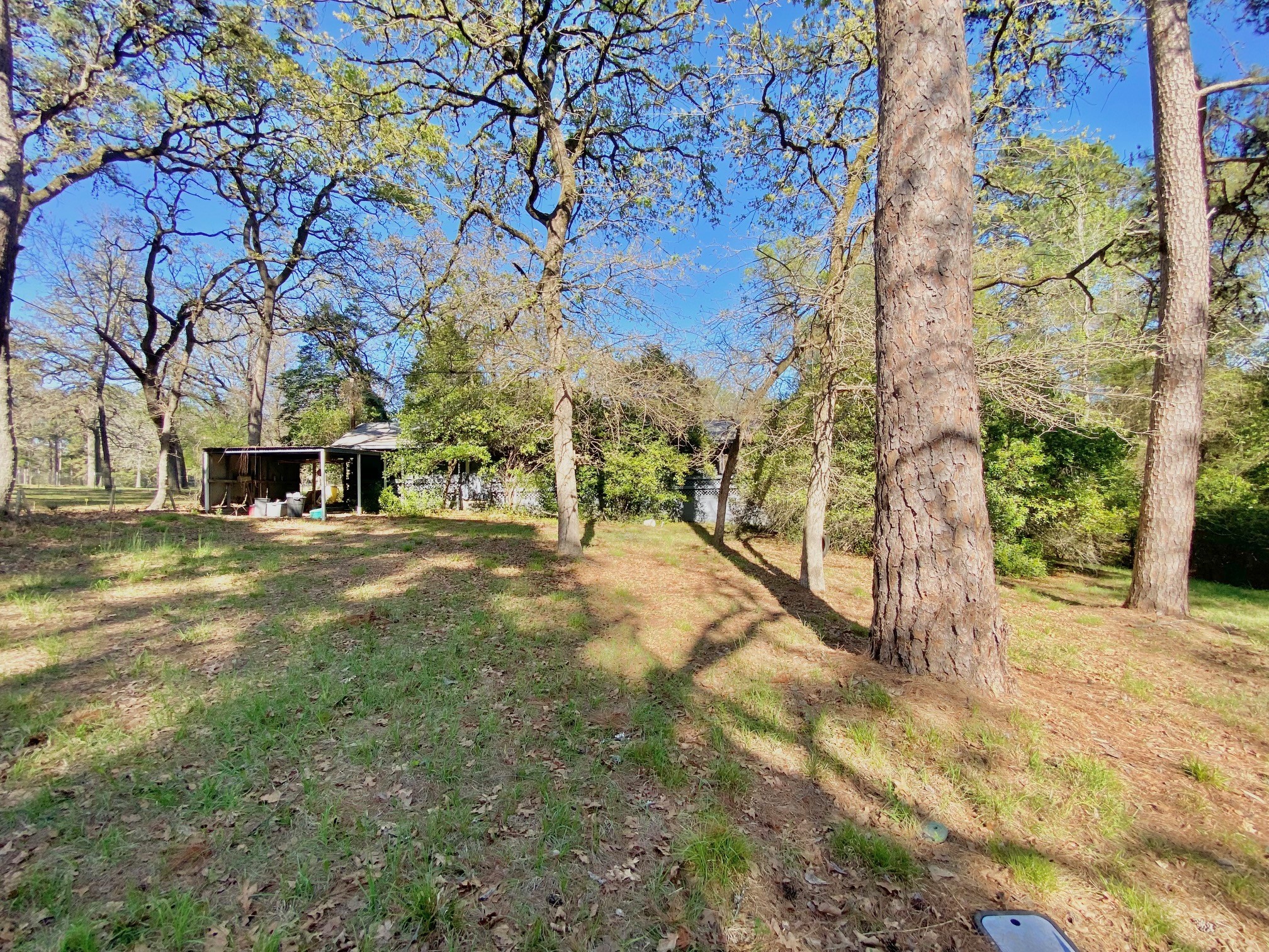 361 Beaver Run Grapeland, TX 75844 - Photo 8 of 12 a view of road with large trees