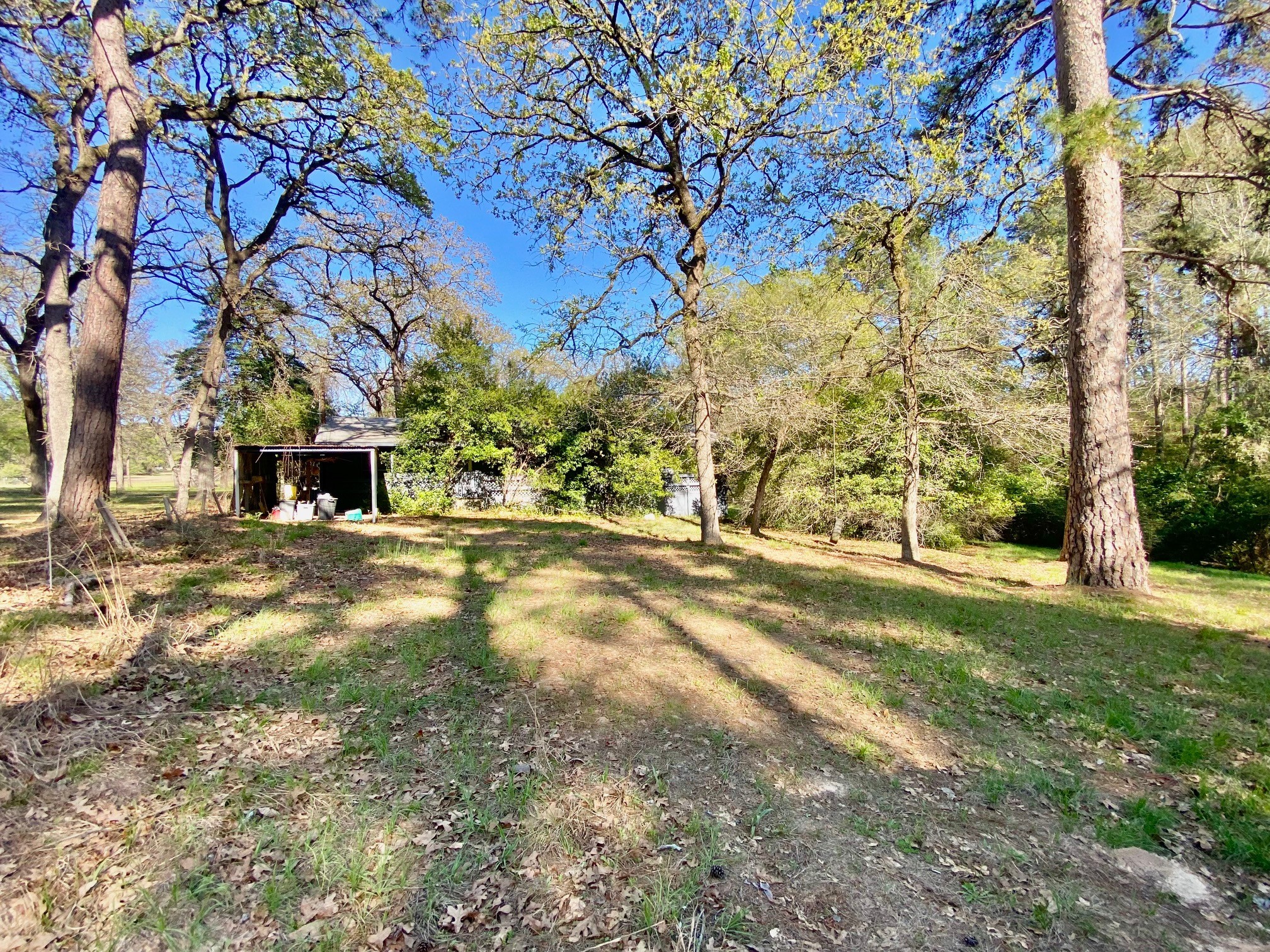 361 Beaver Run Grapeland, TX 75844 - Photo 9 of 12 a view of road with large trees
