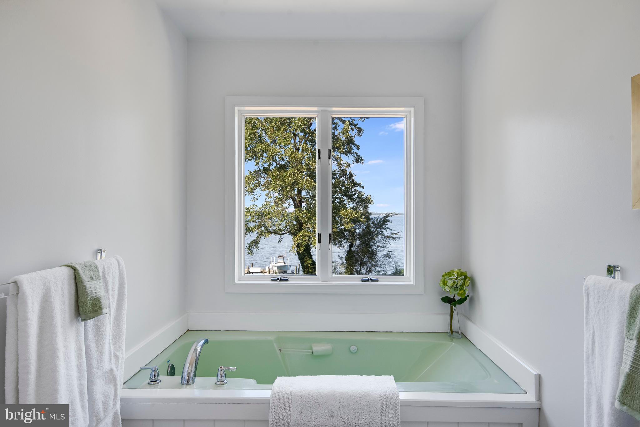 1094 River Bay Road Annapolis, MD 21409 - Photo 70 of 101 Master Soaking tub