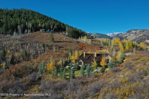 a view of a yard with plants and a building