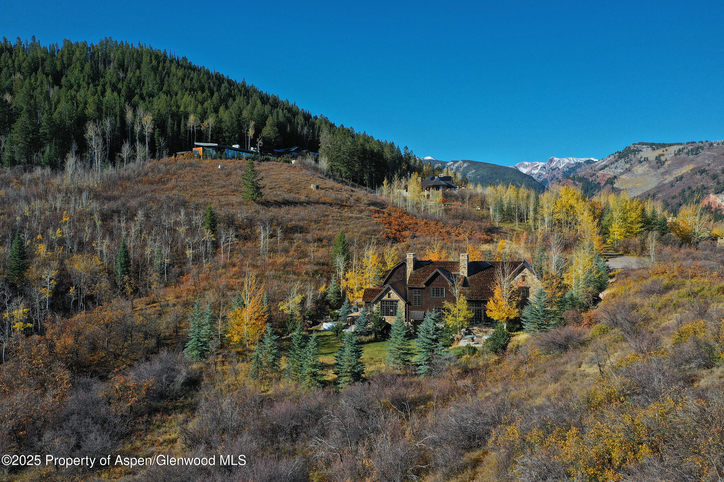 864 Moore Drive Aspen, CO 81611 - Photo 4 of 37 a view of a yard with plants and a building