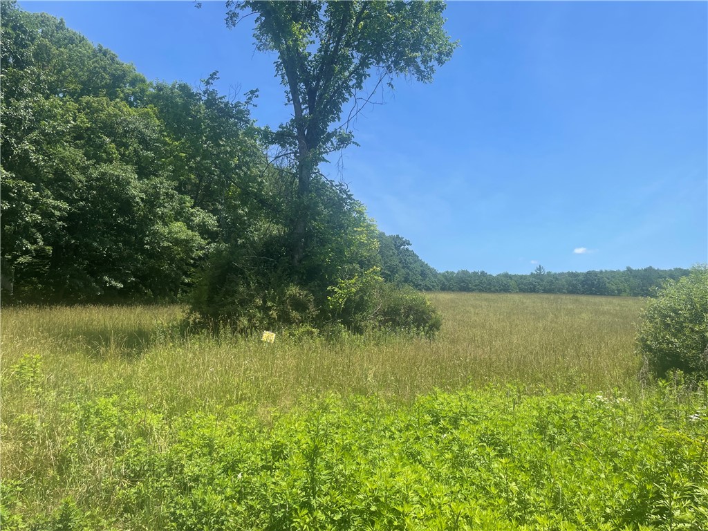 Schlafer Road Bainbridge, NY 13733 - Photo 1 of 6
