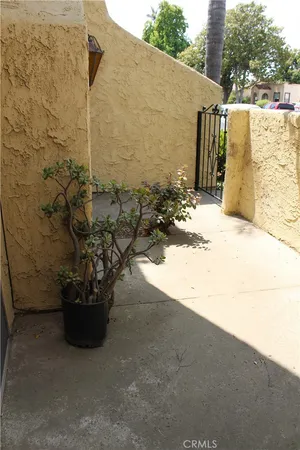 a view of a backyard with plants and a bench