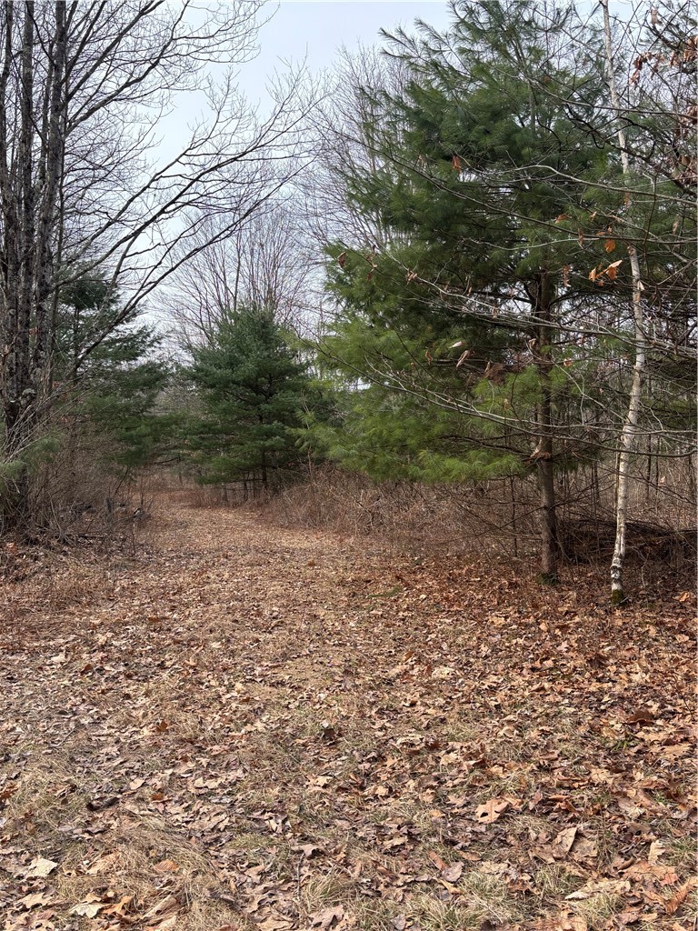 370 Ellis Creek Road Barton, NY 14892 - Photo 9 of 24