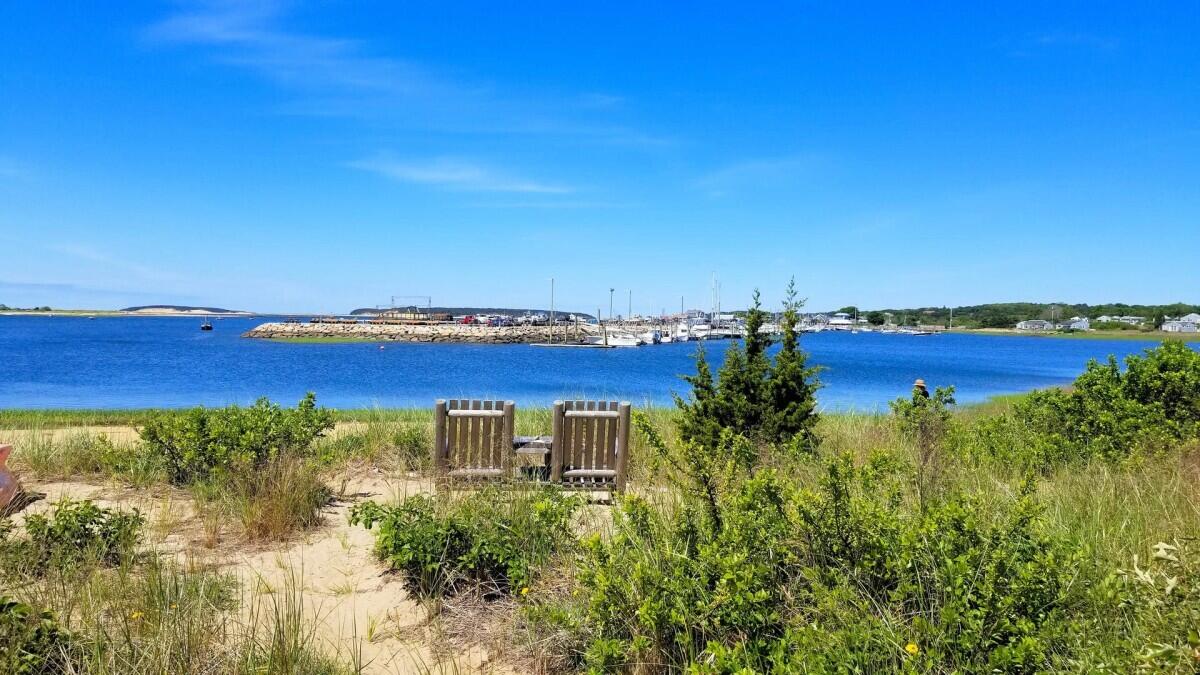 75 Richman Lane Wellfleet, MA 02667 - Photo 70 of 72 a view of a lake with houses in the back
