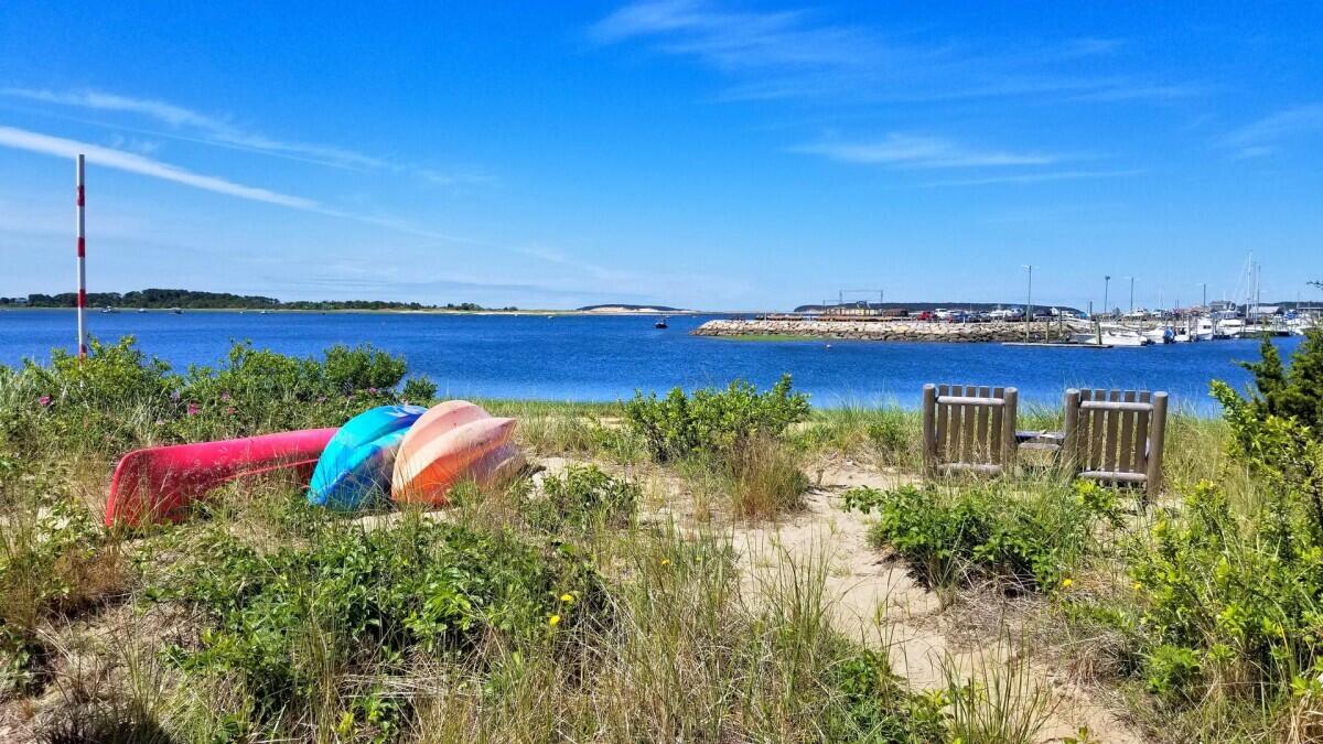 75 Richman Lane Wellfleet, MA 02667 - Photo 7 of 72 a view of a lake with a garden