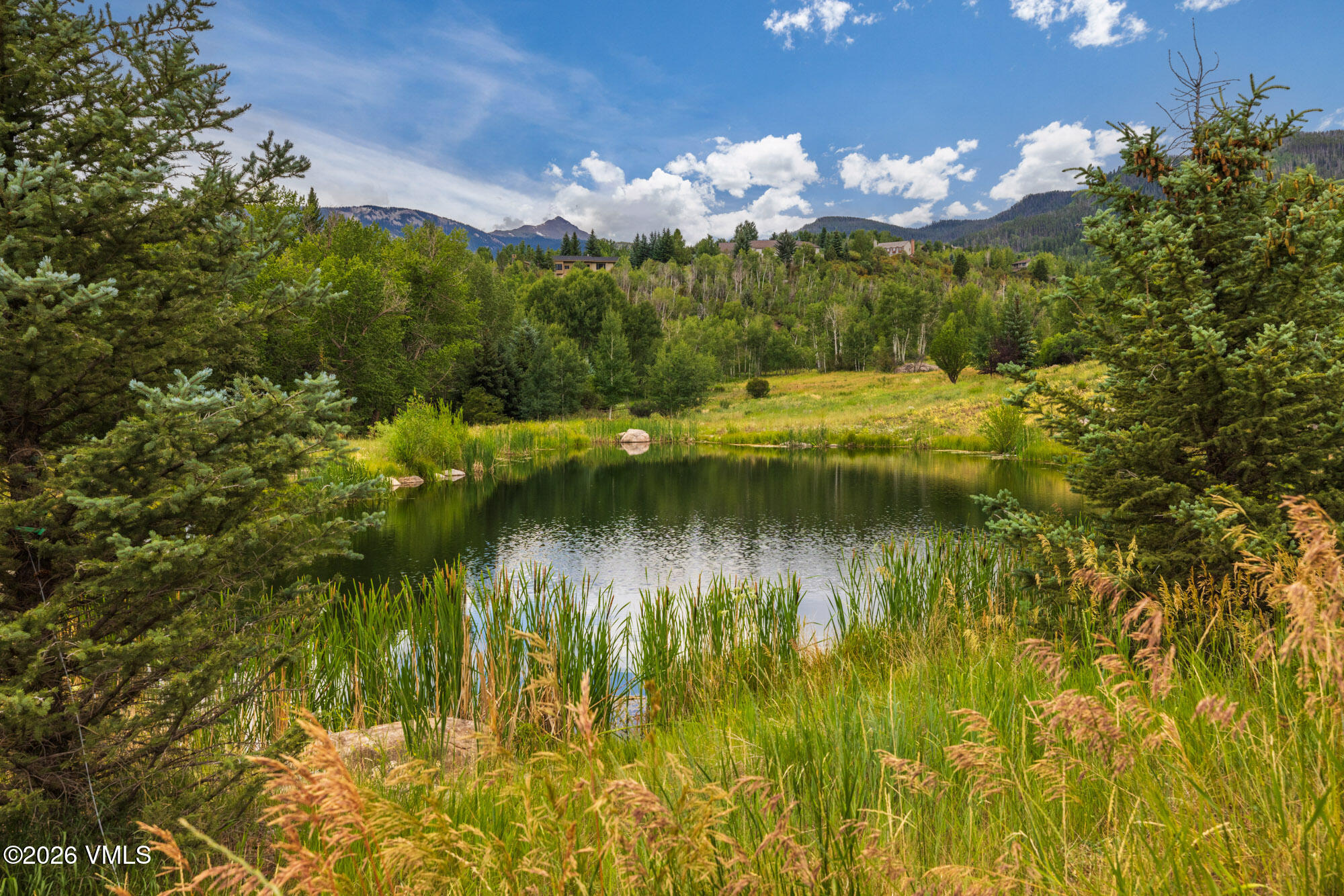 284 Polar Star Road Edwards, CO 81632 - Photo 16 of 26 052A7851