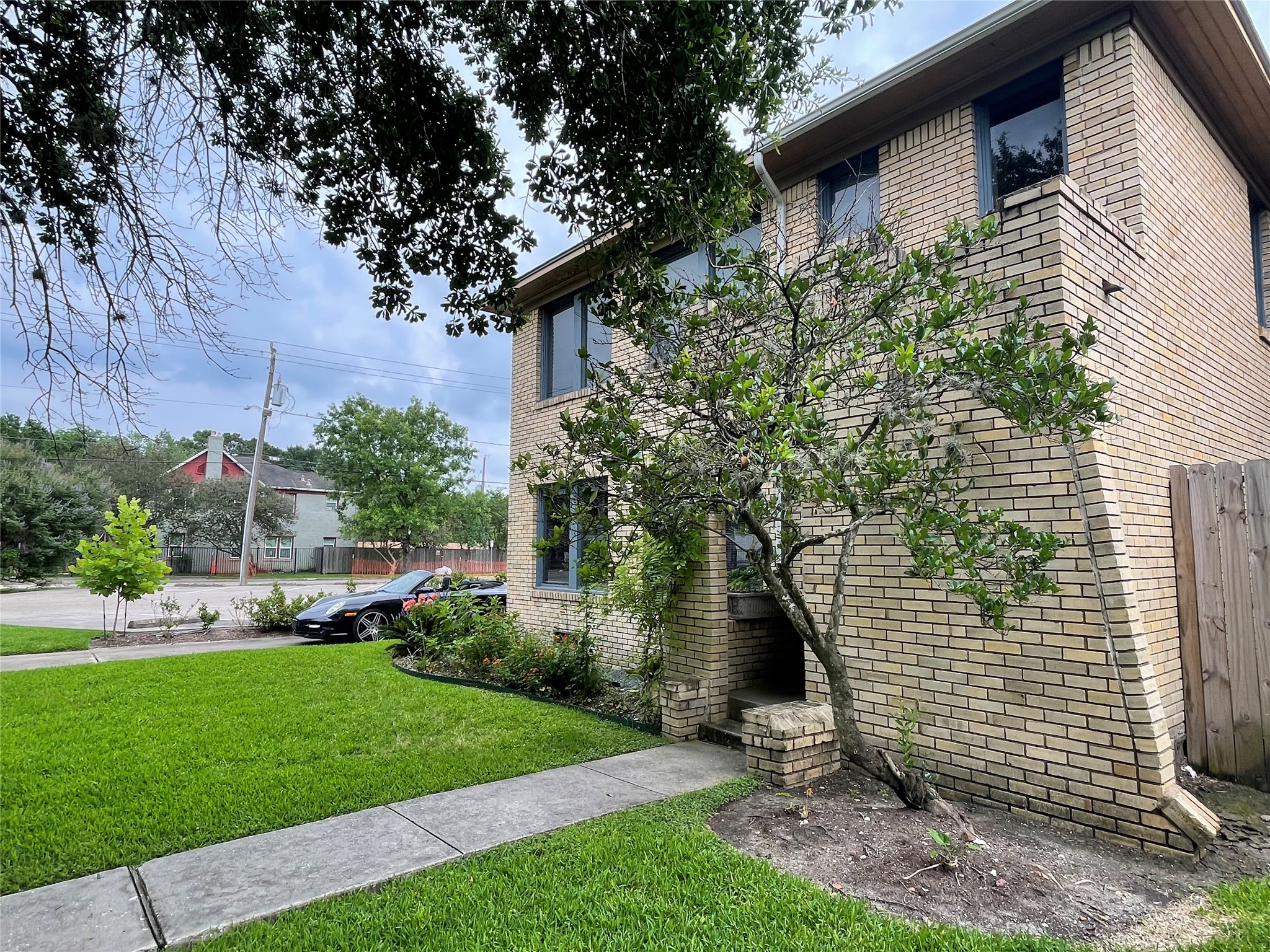 1805 Sul Ross Street Houston, TX 77098 - Photo 17 of 21 a view of a yard with plants and large trees