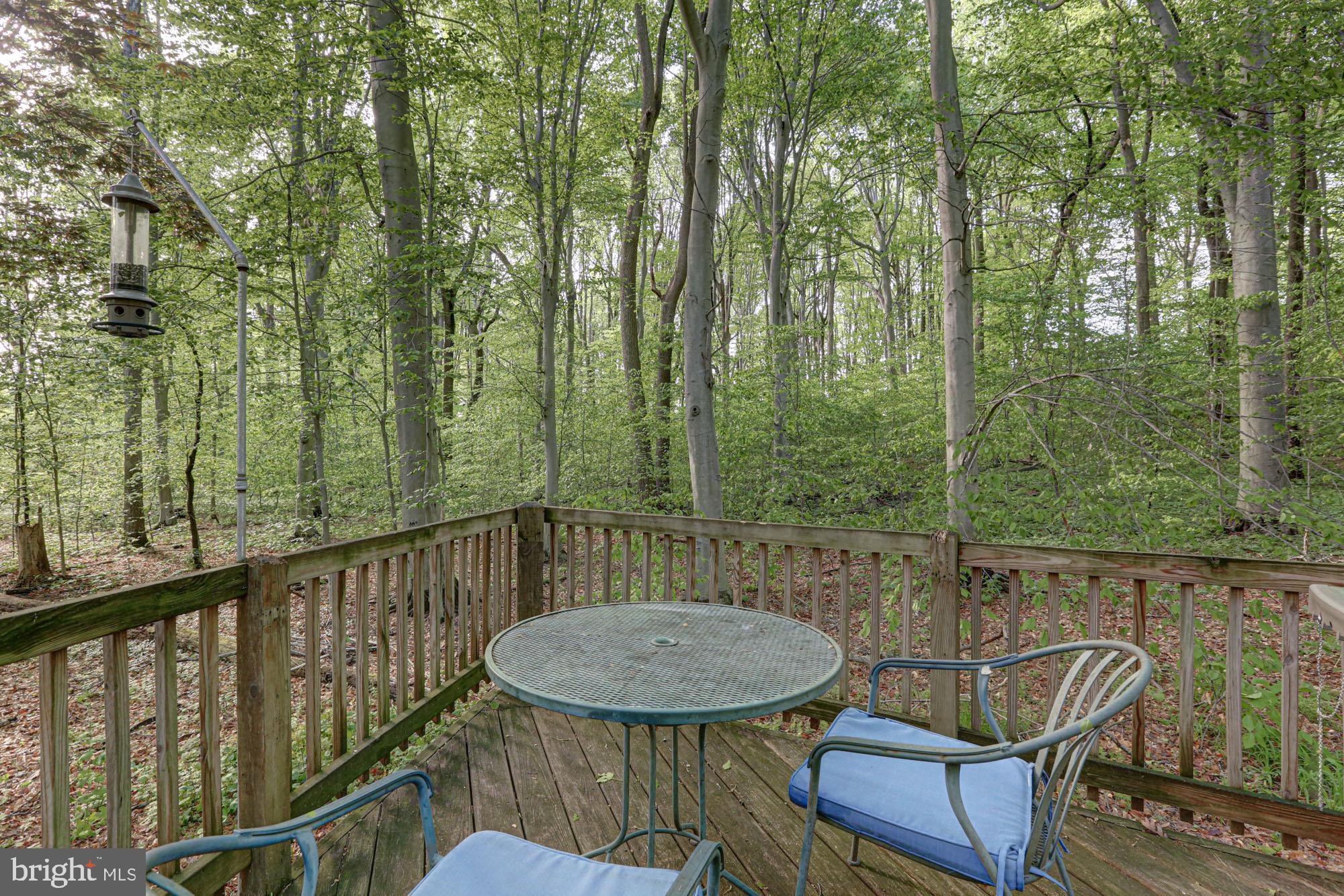 75 Good Hope Road Landenberg, PA 19350 - Photo 14 of 65 a view of a chair and table in the balcony