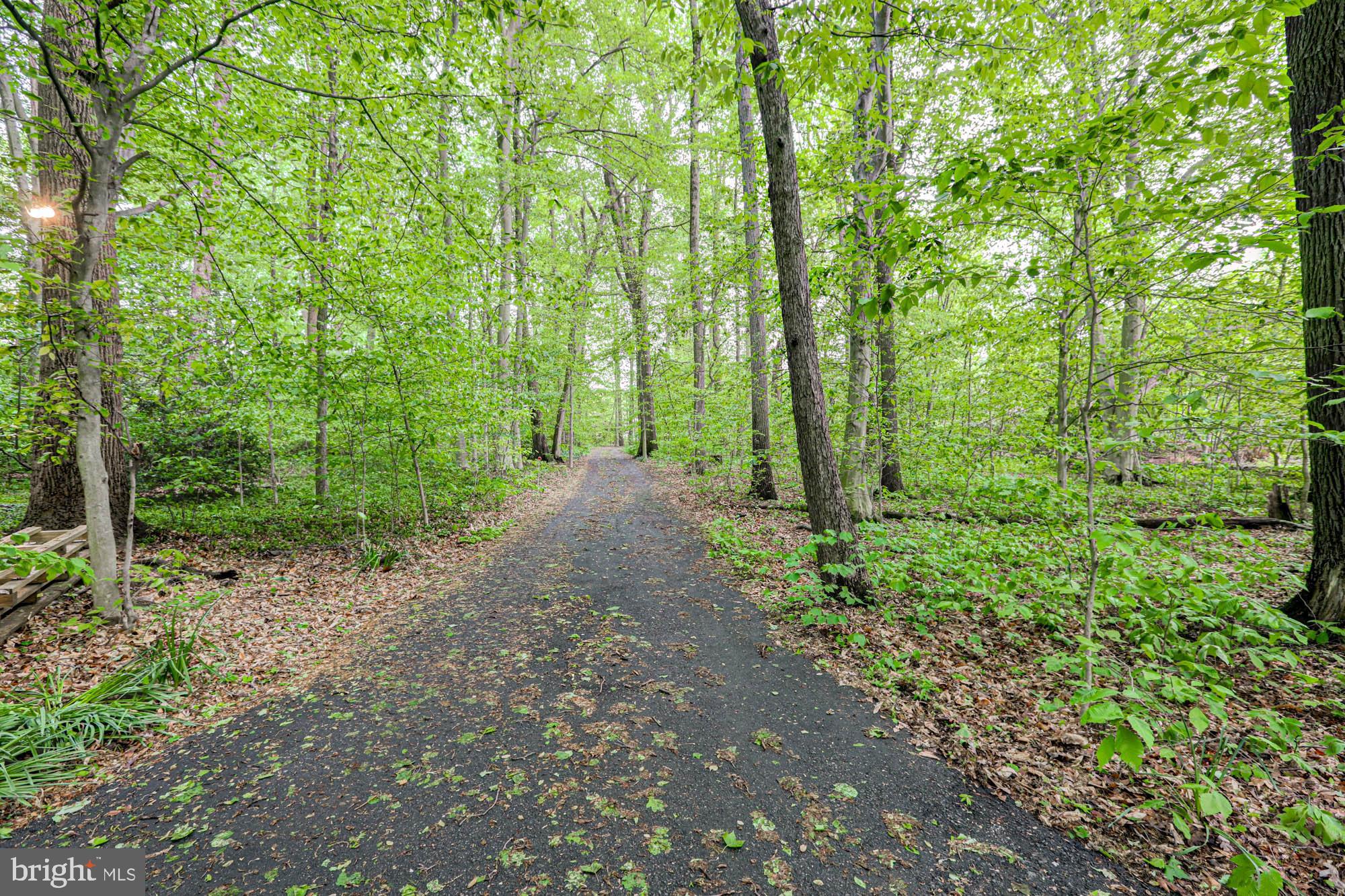 75 Good Hope Road Landenberg, PA 19350 - Photo 2 of 65 a view of a forest with trees in the background