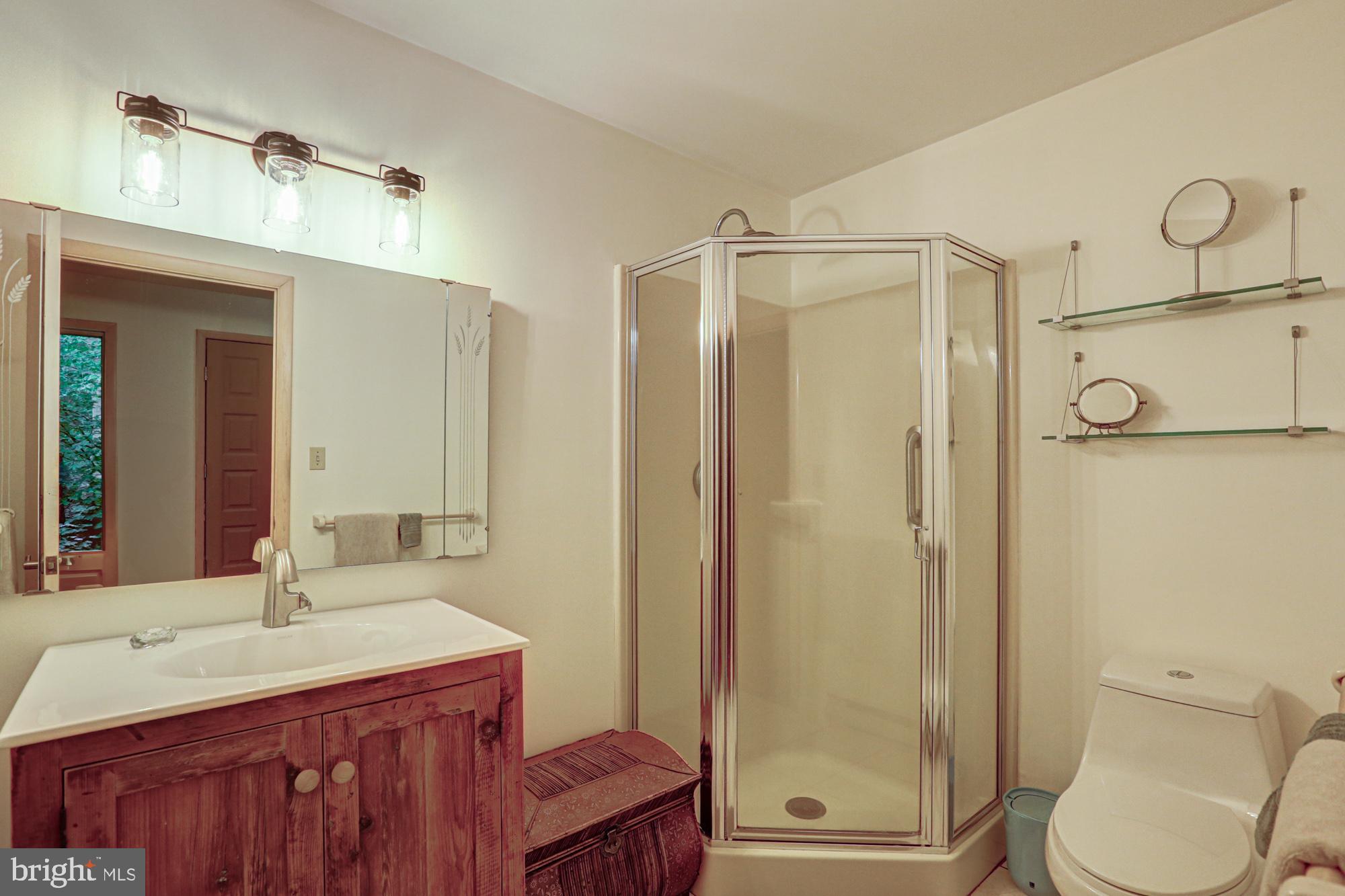 75 Good Hope Road Landenberg, PA 19350 - Photo 36 of 65 a bathroom with a sink a toilet and shower