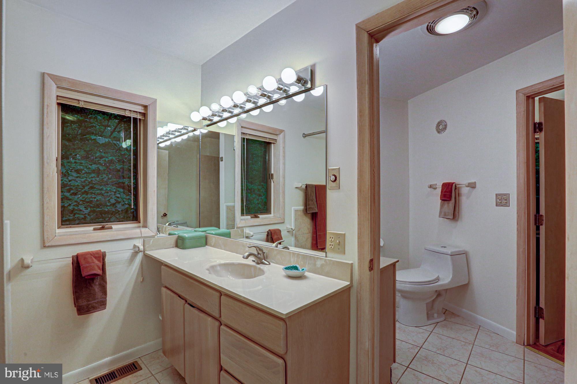75 Good Hope Road Landenberg, PA 19350 - Photo 46 of 65 a bathroom with a sink and a mirror