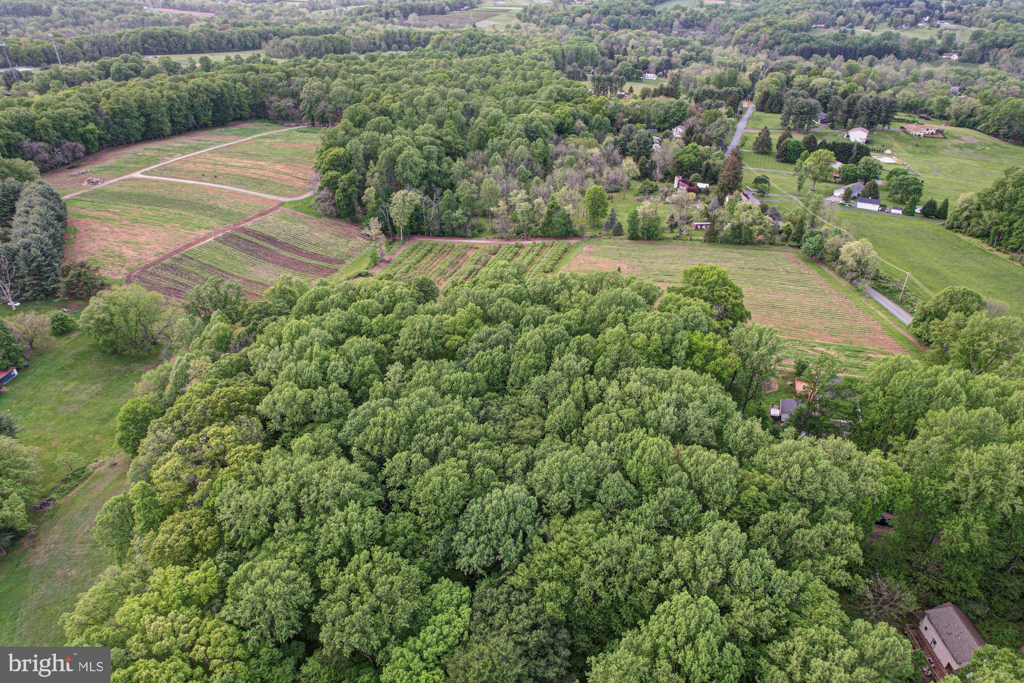 75 Good Hope Road Landenberg, PA 19350 - Photo 61 of 65 an aerial view of residential house with outdoor space and trees all around