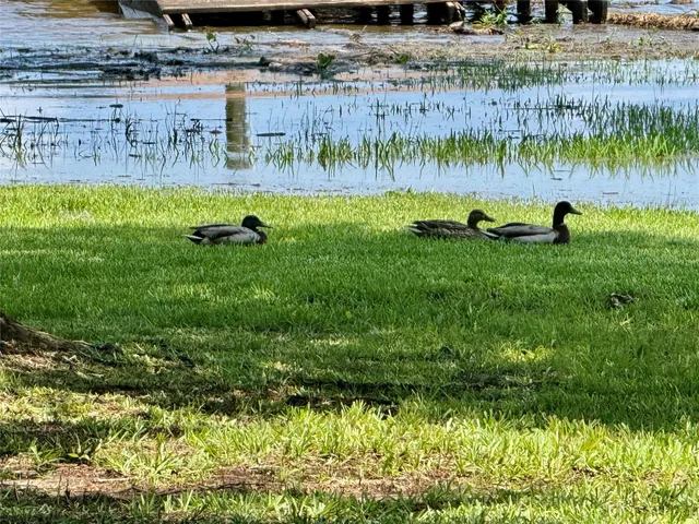 $298,000 | 86 Huntington, Trinity, TX 75862