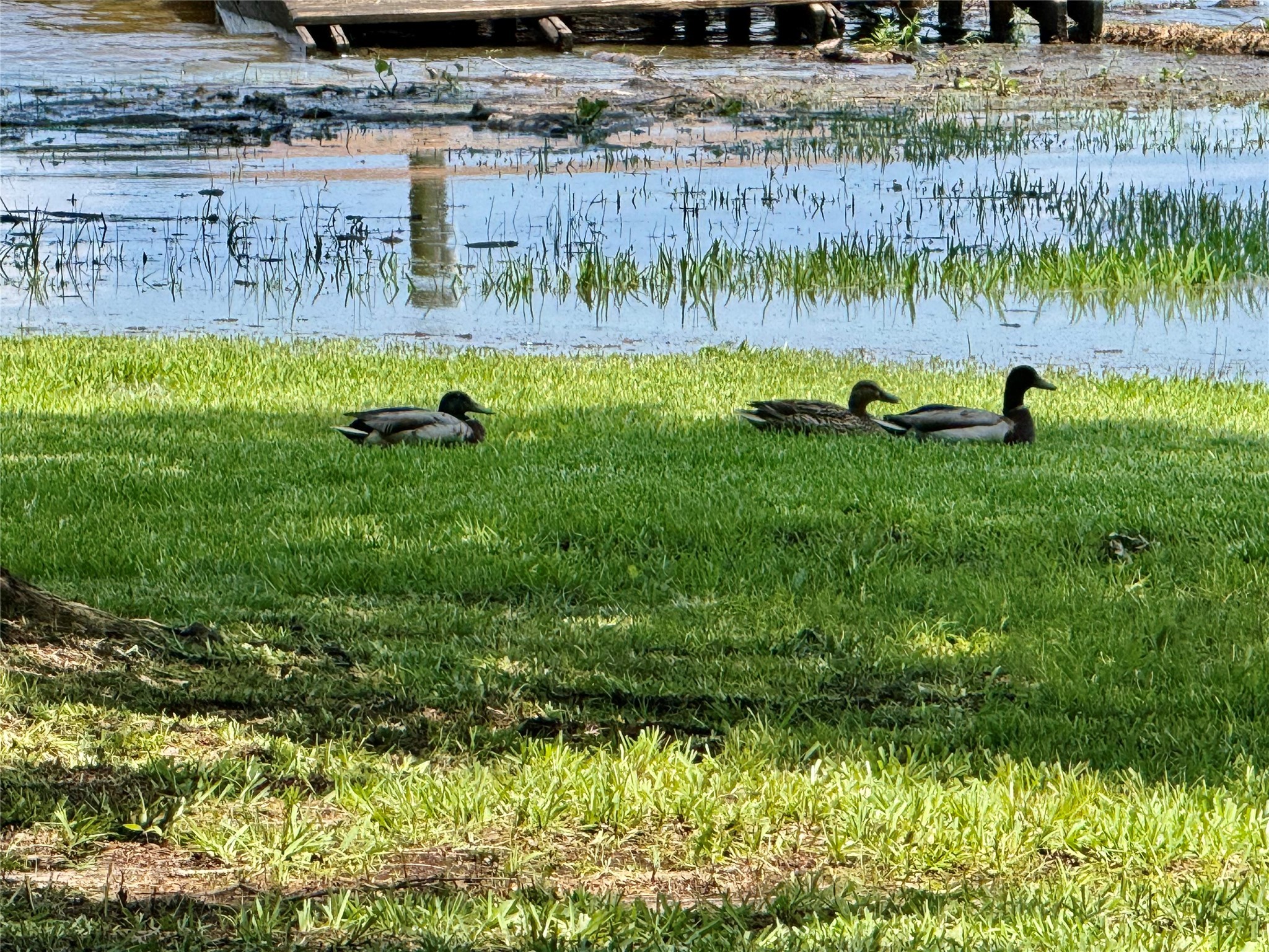 86 Huntington Trinity, TX 75862 - Photo 42 of 44