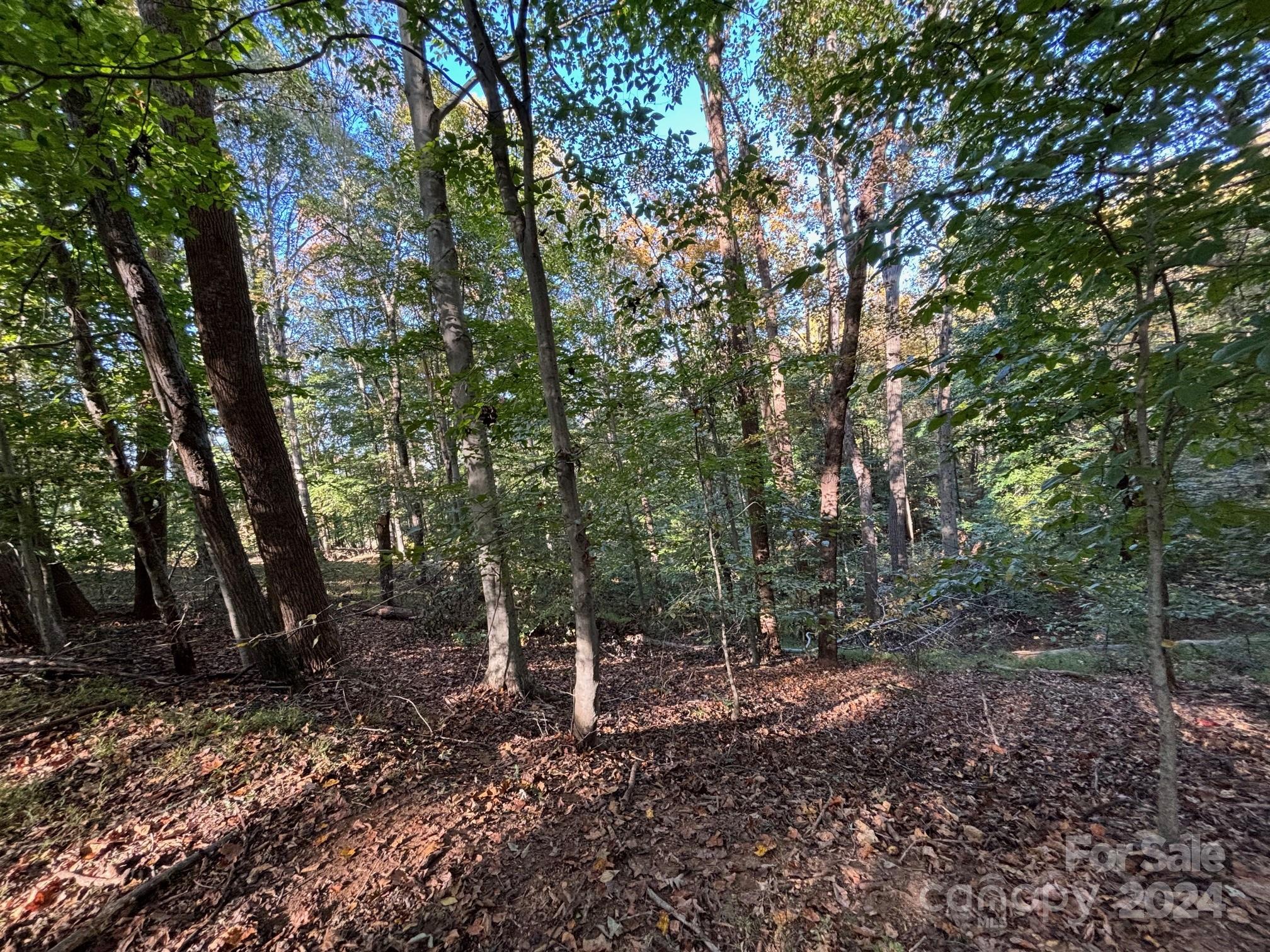 0 Fox Hunter Road Harmony, NC 28634 - Photo 11 of 17 Gallery Image 11