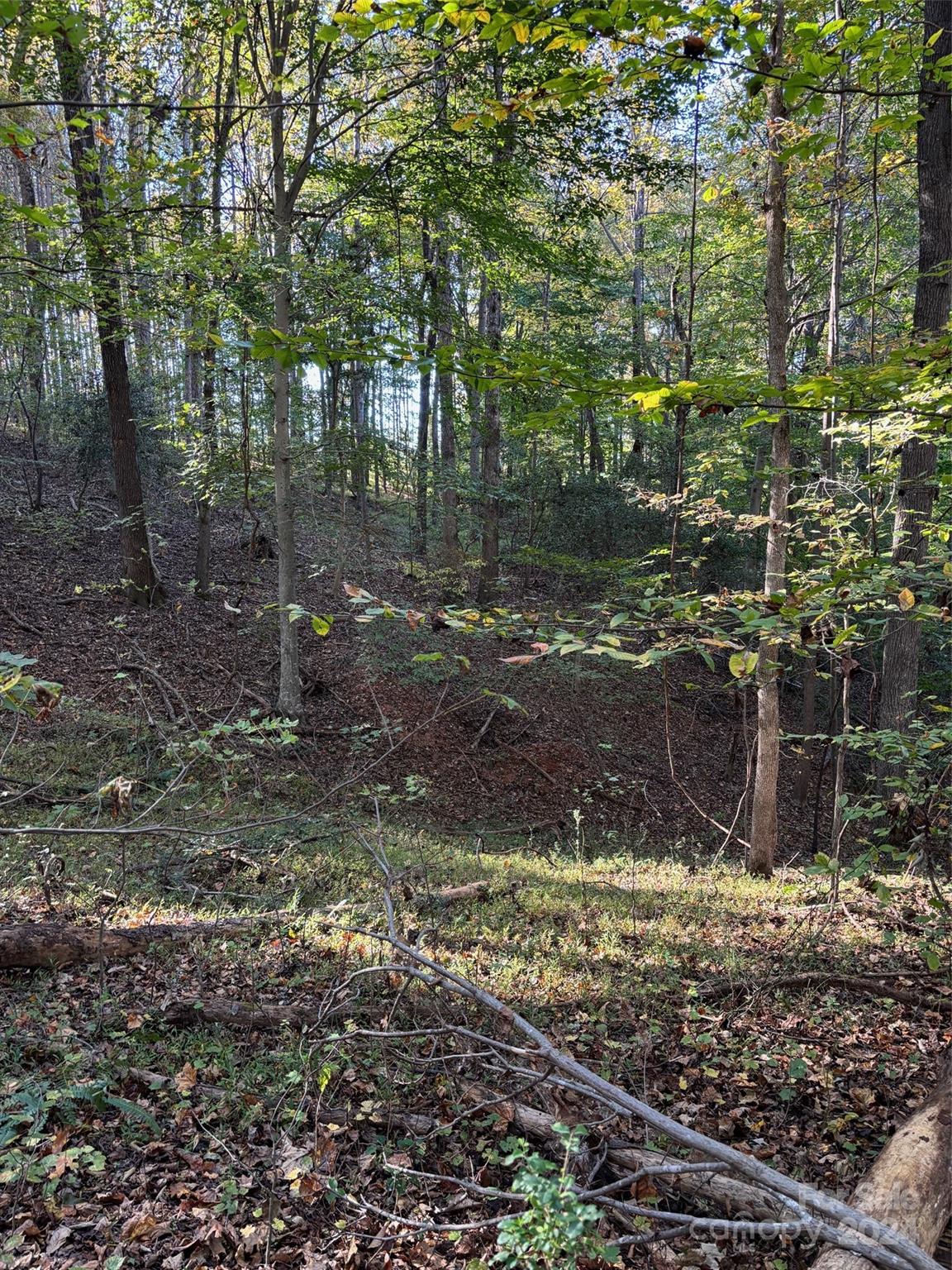 0 Fox Hunter Road Harmony, NC 28634 - Photo 13 of 17 Gallery Image 13