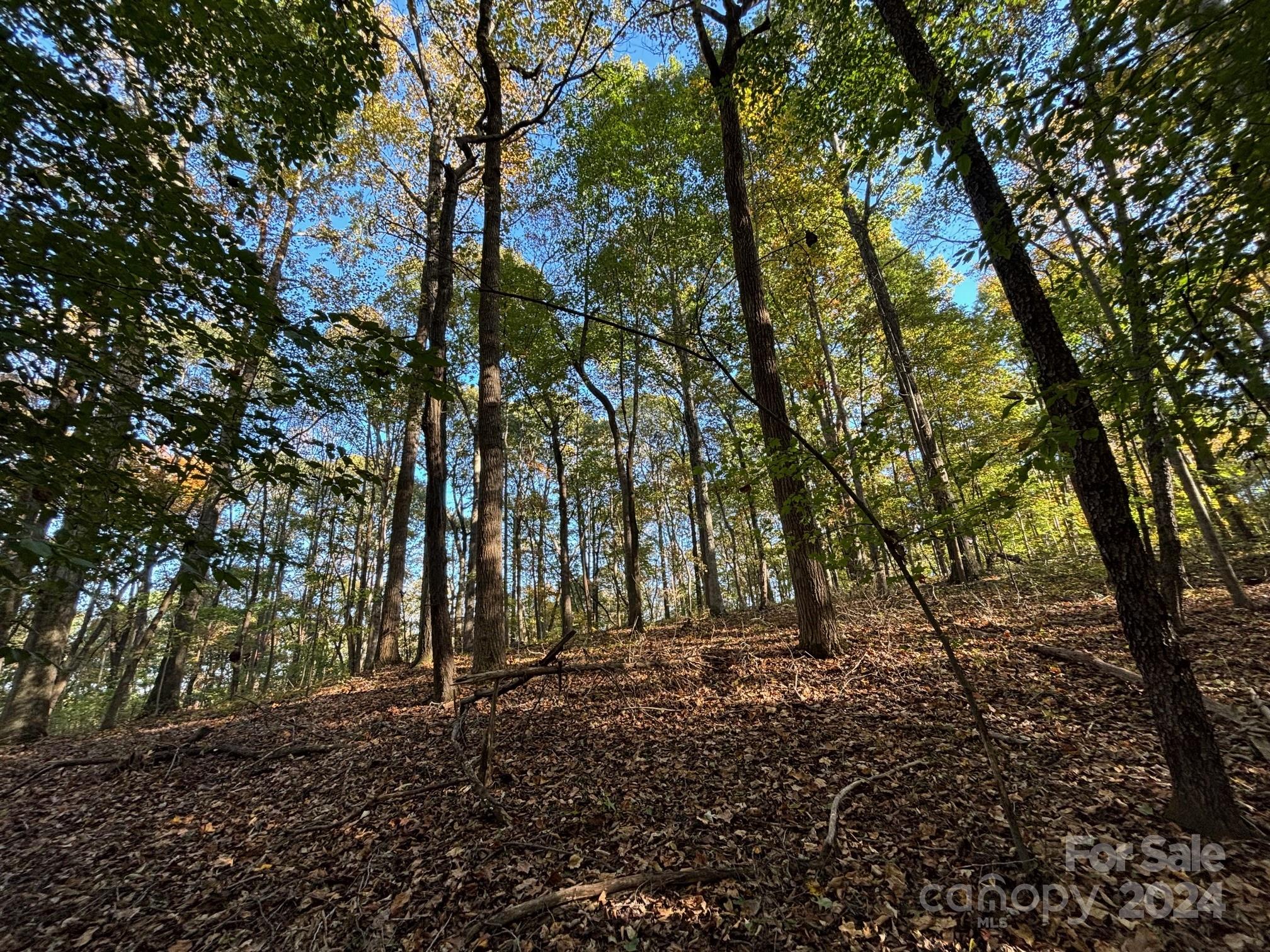 0 Fox Hunter Road Harmony, NC 28634 - Photo 14 of 17 Gallery Image 14