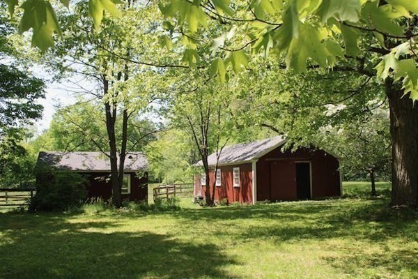 4 Hardwick Road Petersham, MA 01366 - Photo 35 of 42 a view of a big yard with plants and large trees