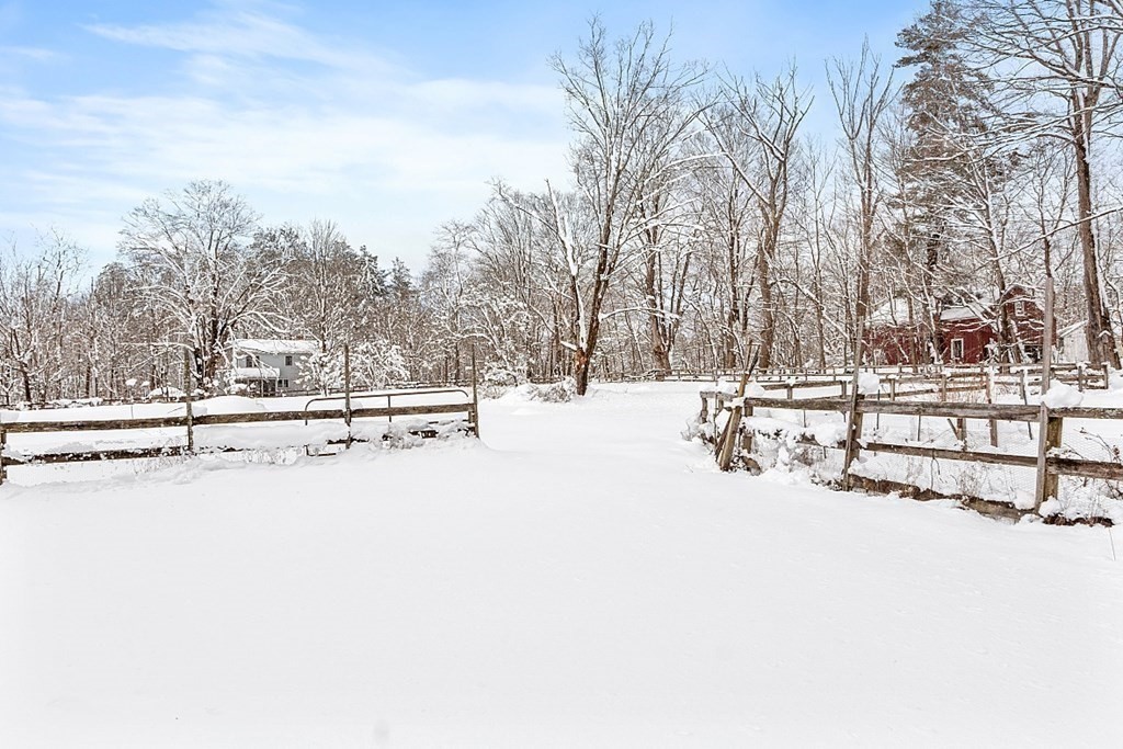 4 Hardwick Road Petersham, MA 01366 - Photo 40 of 42 a view of road with trees