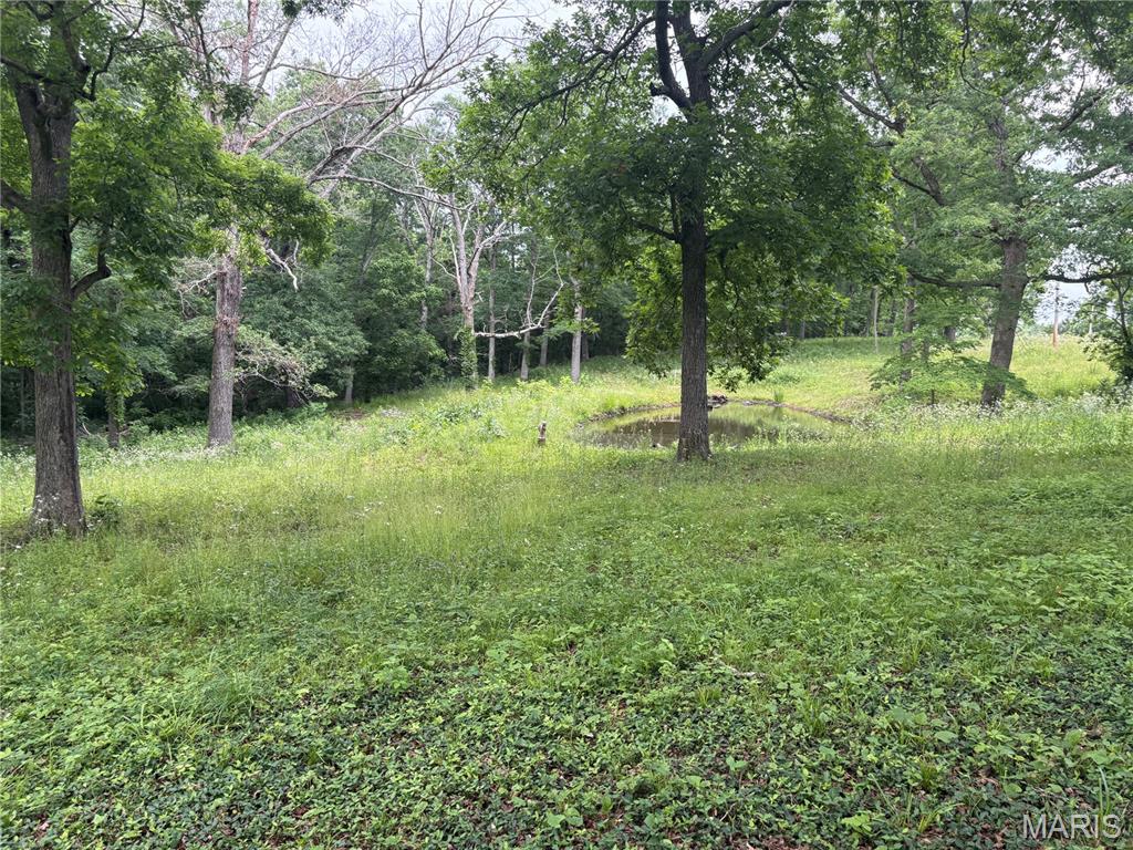 7440 Highway 17 Houston, MO 65483 - Photo 17 of 40
