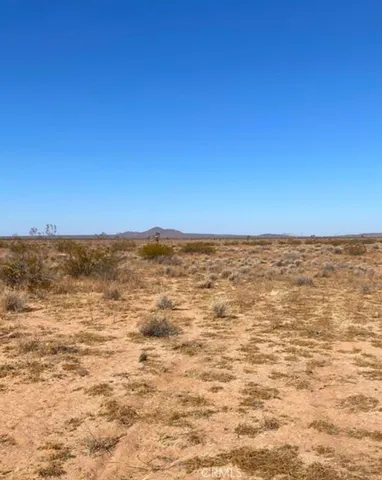 a view of beach and ocean