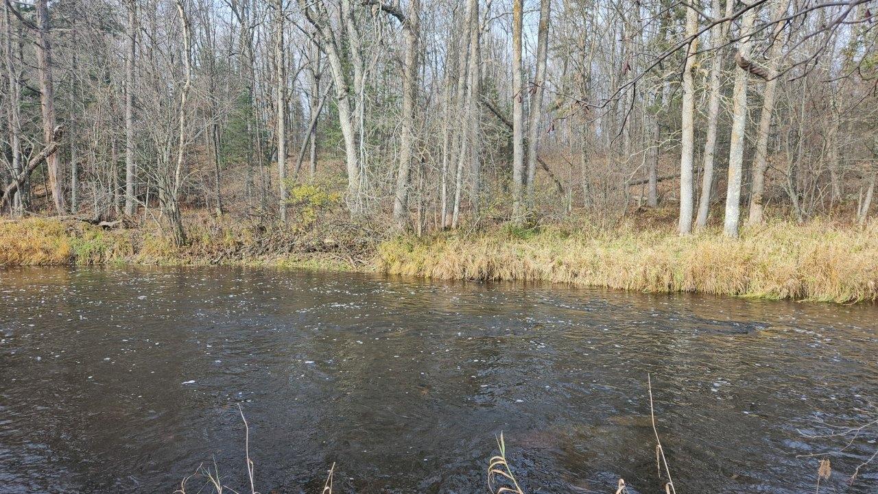 On Morner Road Prentice, WI 54556 - Photo 6 of 16 Gallery Image 6