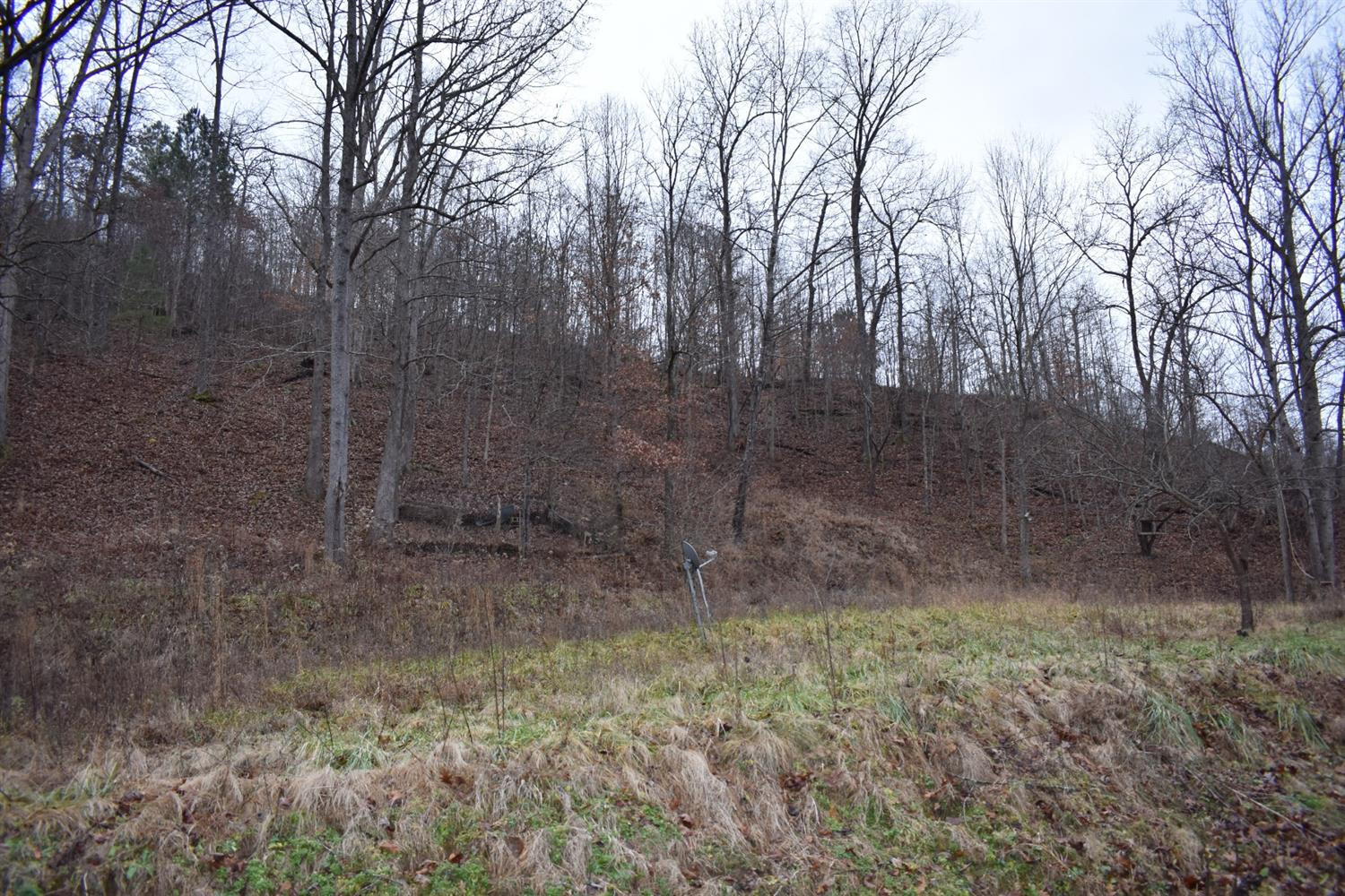 9999 East Crawfish Road Manchester, KY 40962 - Photo 38 of 52 Photo 38
