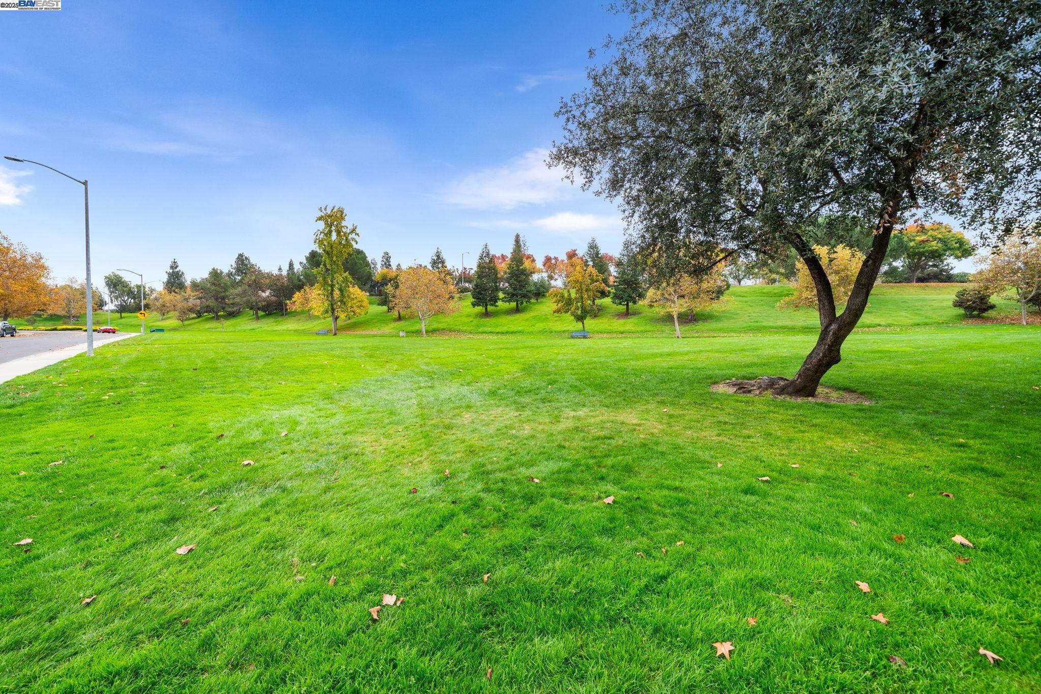 2864 El Capitan Drive Pleasanton, CA 94566 - Photo 44 of 45 a view of a park with large trees