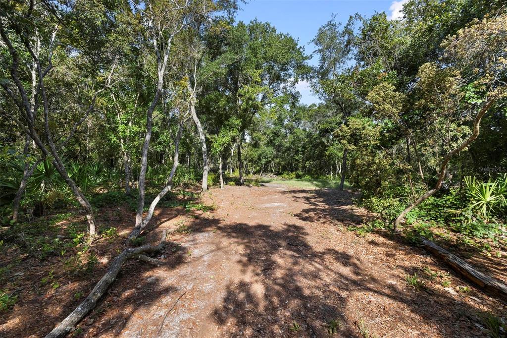 Doyle Road Deltona, FL 32725 - Photo 11 of 14 a view of outdoor space and trees